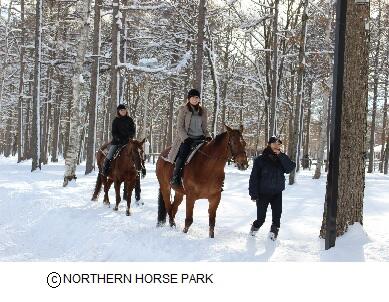 Northern Horse Park.jpg